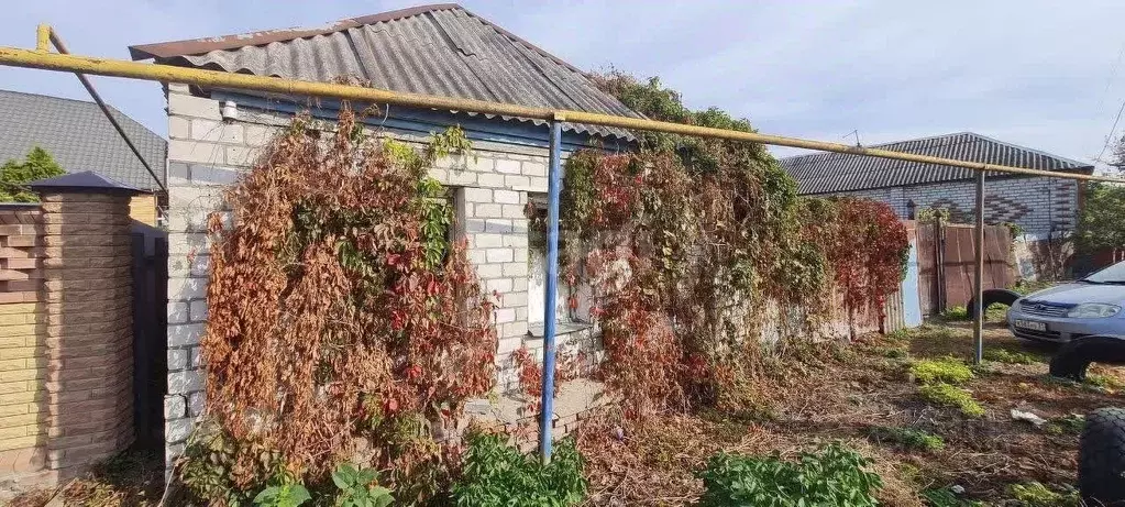 Участок в Белгородская область, Поселок Чернянка городское поселение, ... - Фото 2