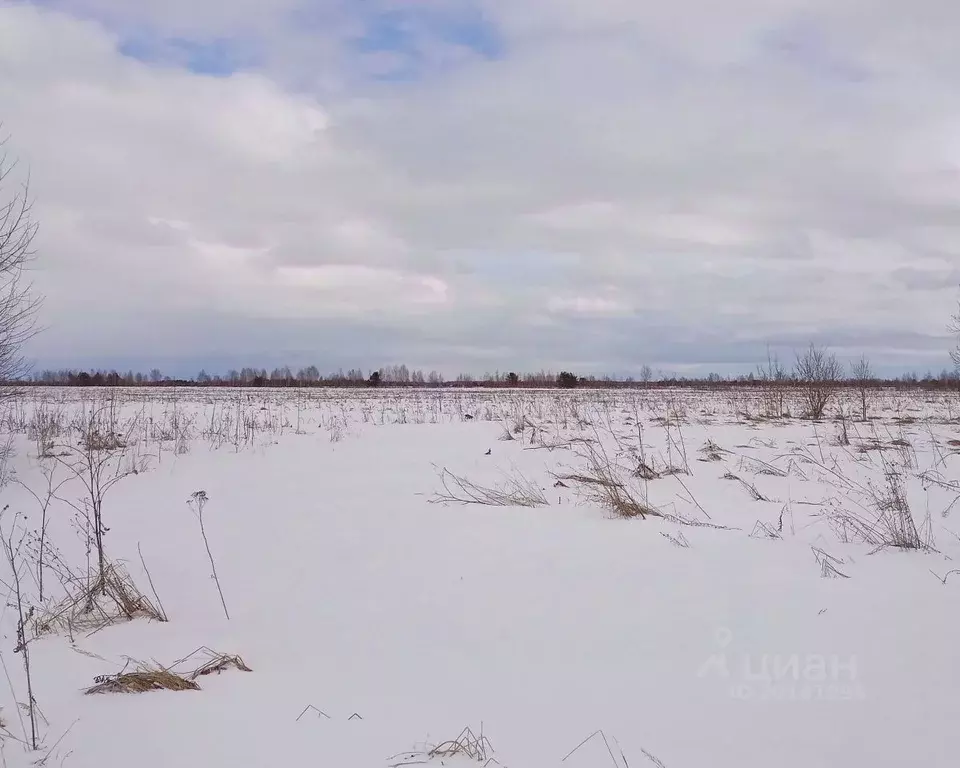 Участок в Тверская область, Калининский муниципальный округ, пос. ... - Фото 0