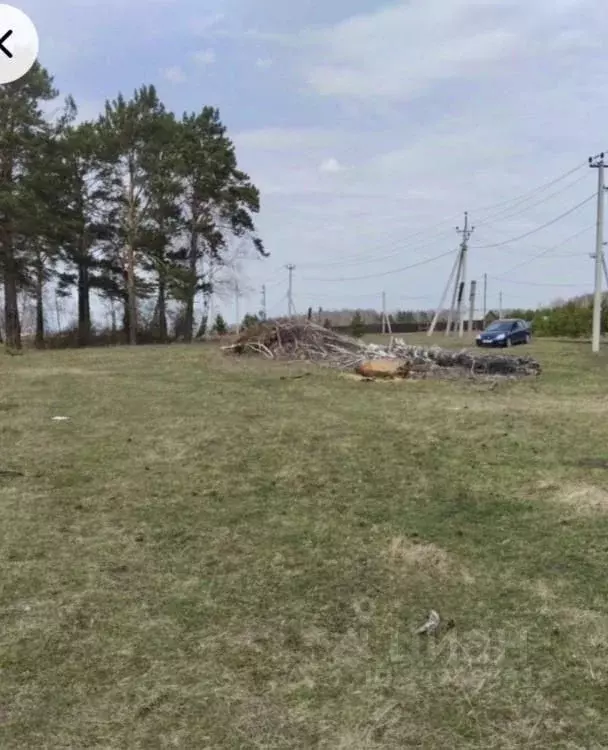 Участок в Красноярский край, Емельяновский муниципальный округ, с. ... - Фото 2