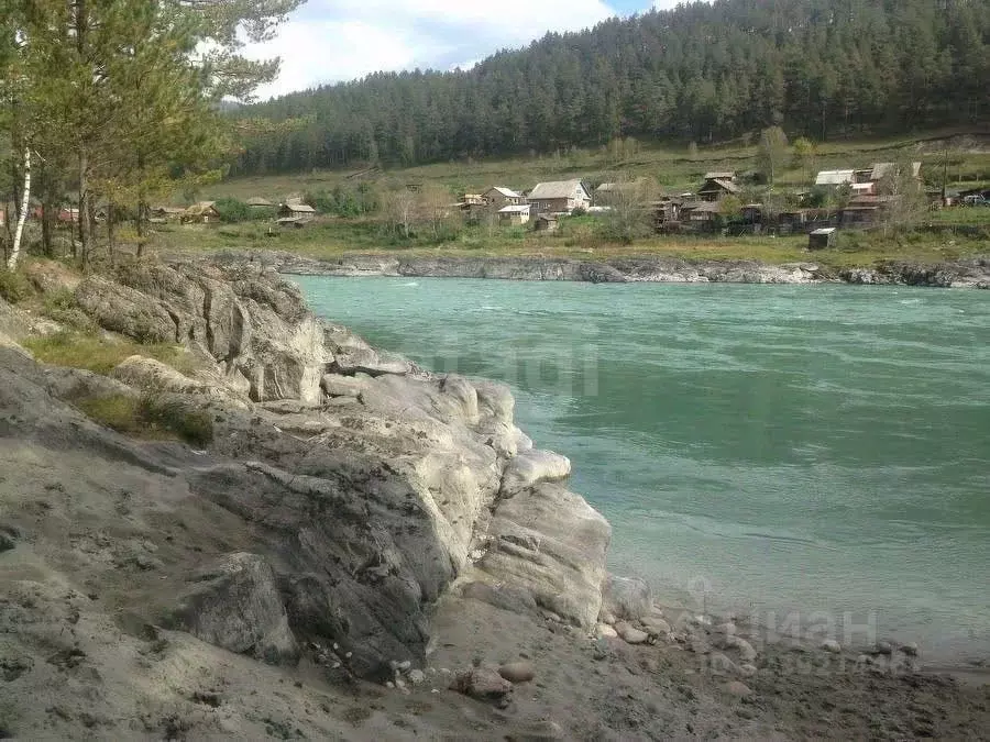 Участок в Алтай, Чемальский район, с. Аюла Центральная ул., 22 (9.0 ... - Фото 1