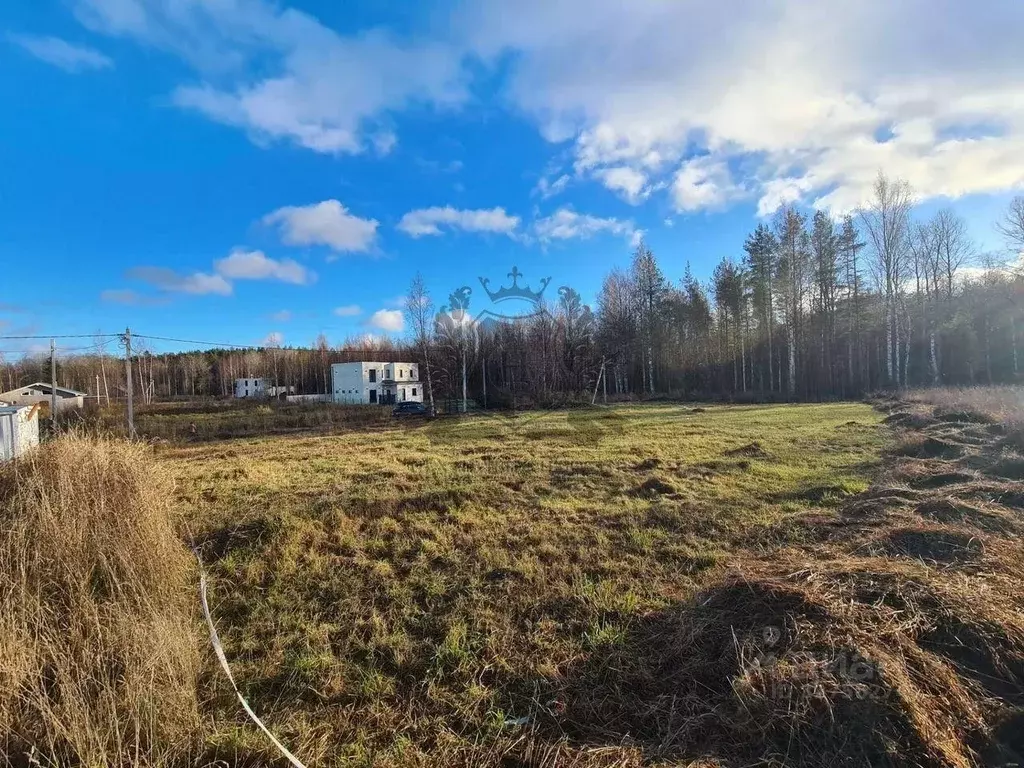 Участок в Ленинградская область, Ломоносовский район, Пениковское ... - Фото 0