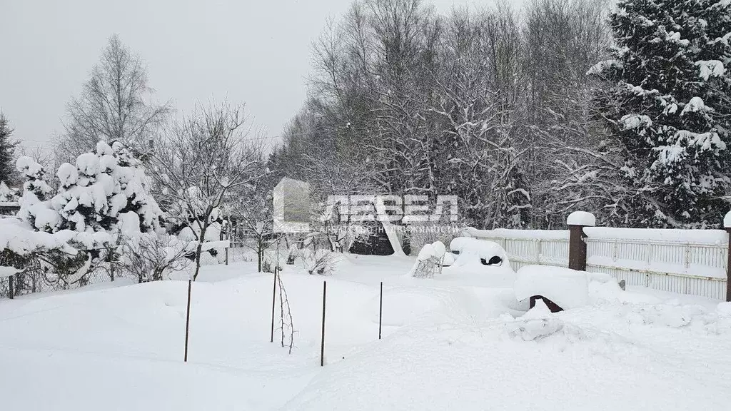 Участок в Москва Мечта СНТ, 244 (9.0 сот.) - Фото 2