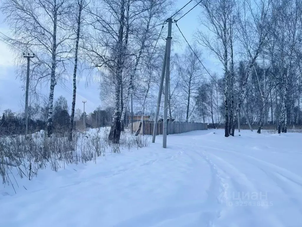 Участок в Тюменская область, Тюмень Зеленый Бор ДНТСН,  (10.0 сот.) - Фото 2