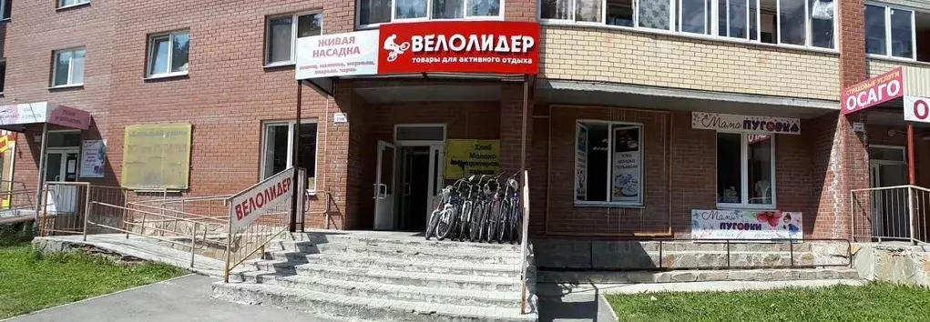 Офис в Свердловская область, Березовский ул. Гагарина, 21 (19 м) - Фото 0