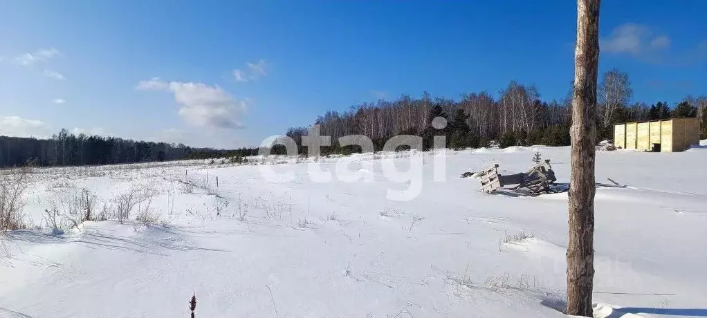 Участок в Красноярский край, Емельяновский муниципальный округ, ... - Фото 1