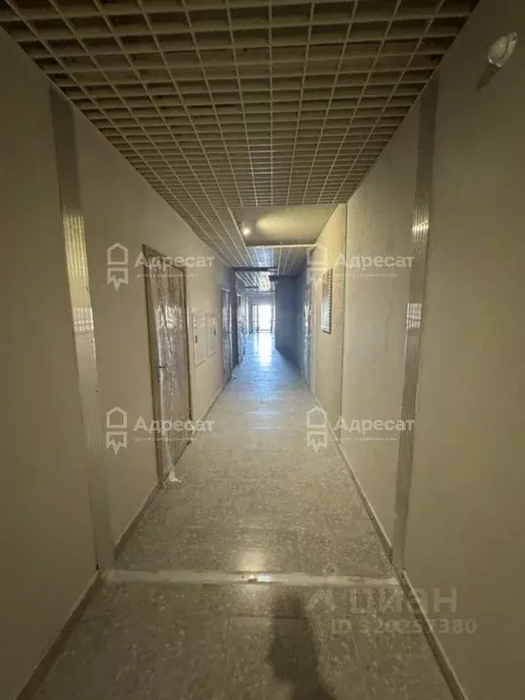 Помещение свободного назначения в Волгоградская область, Волгоград ул. ... - Фото 0