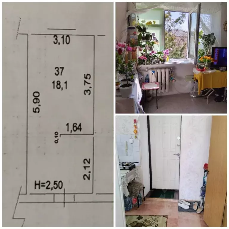Комната Краснодарский край, Геленджик ул. Кирова, 66 (18.1 м) - Фото 0