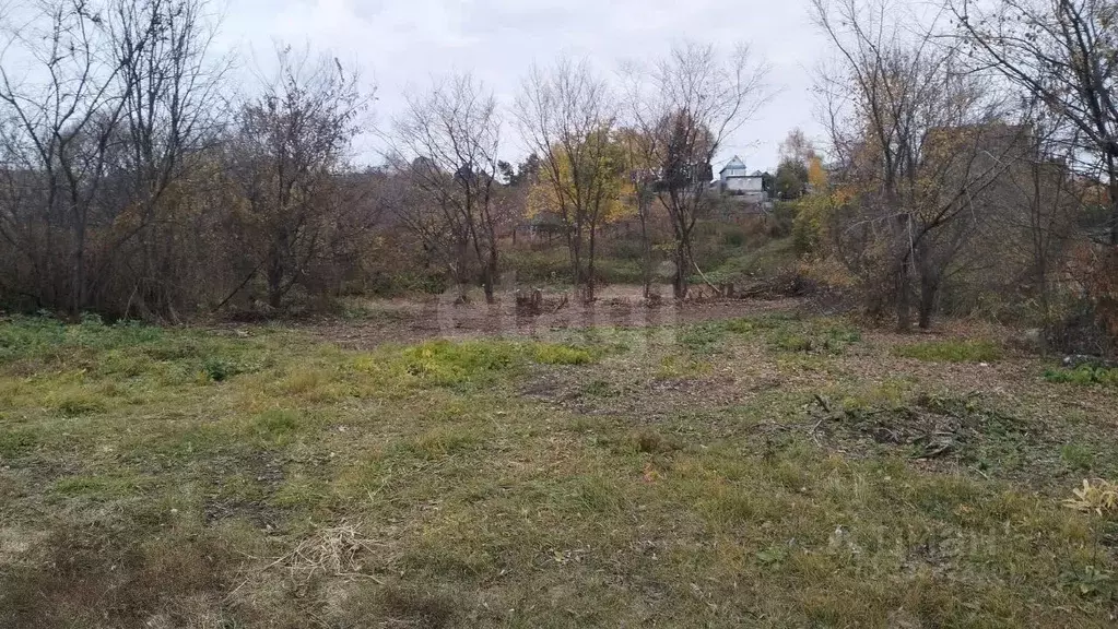 Участок в Саратовская область, Воскресенский район, Елшанское ... - Фото 2