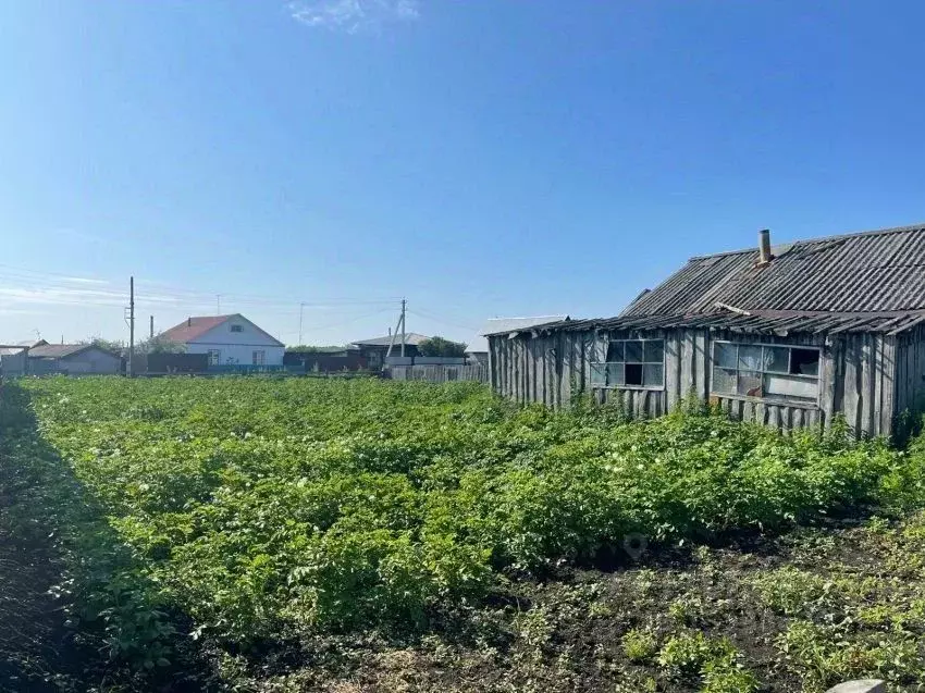 Дом в Курганская область, Белозерский муниципальный округ, с. Рычково ... - Фото 1