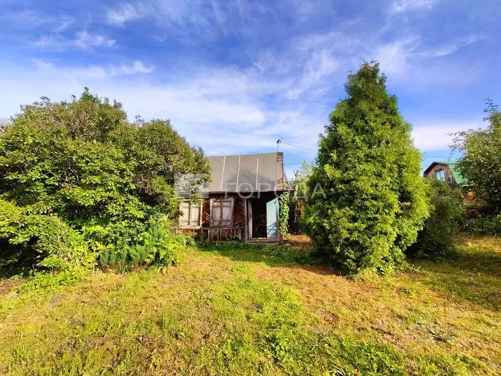 Участок в Новосибирская область, Новосибирск Золотая Горка СНТ, аллея ... - Фото 1