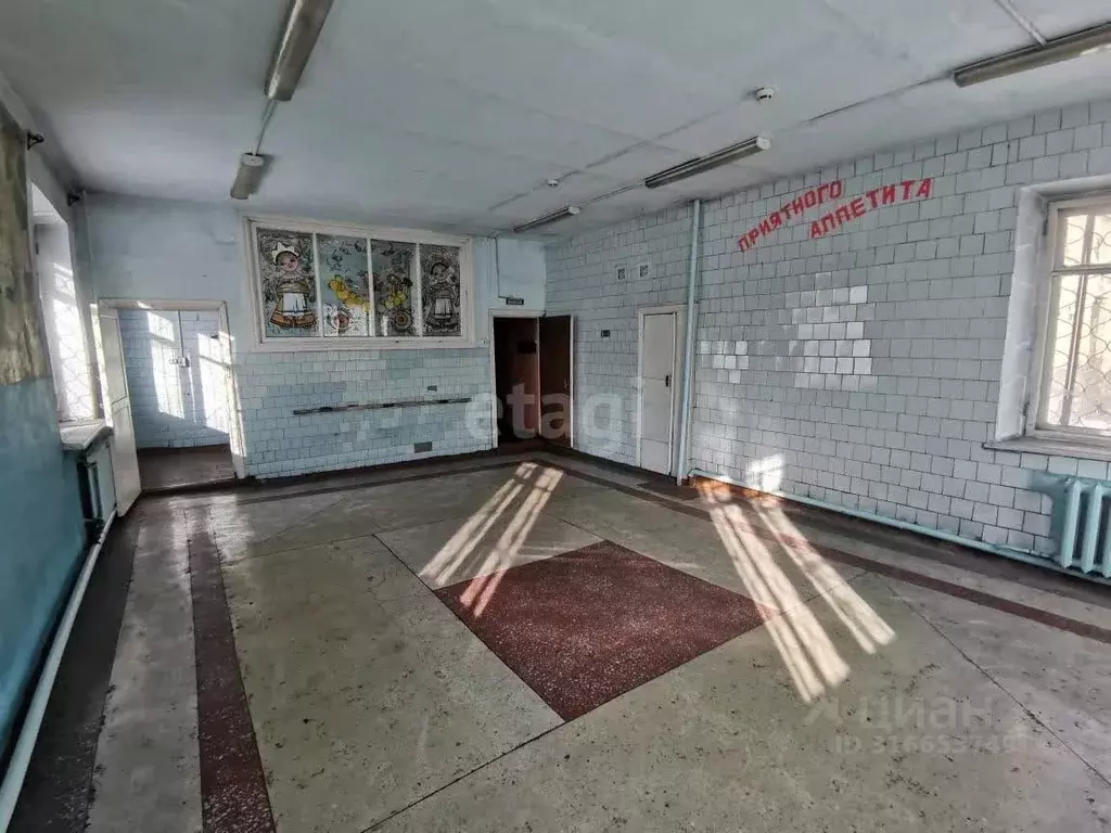 Помещение свободного назначения в Кемеровская область, Киселевск ул. ... - Фото 0