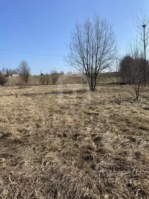 Участок в Санкт-Петербург пос. Петро-Славянка, Лесной просп. (7.0 ... - Фото 1