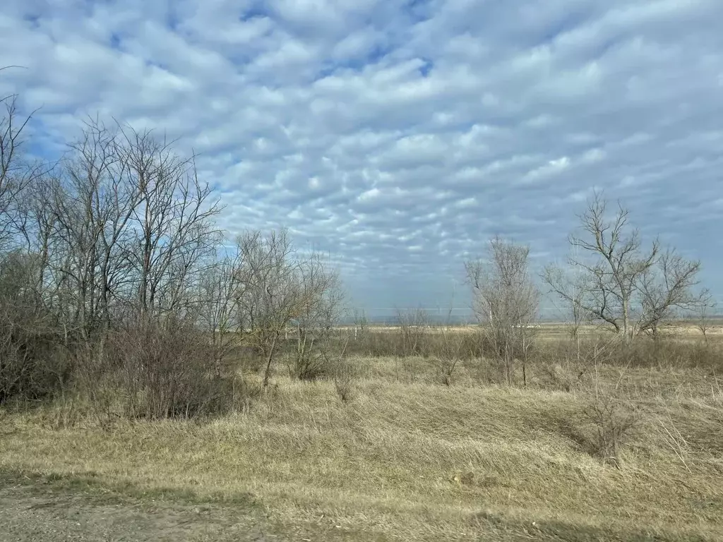 Участок в Ростовская область, Ростов-на-Дону пер. Краснощекова, 7 (7.2 ... - Фото 0