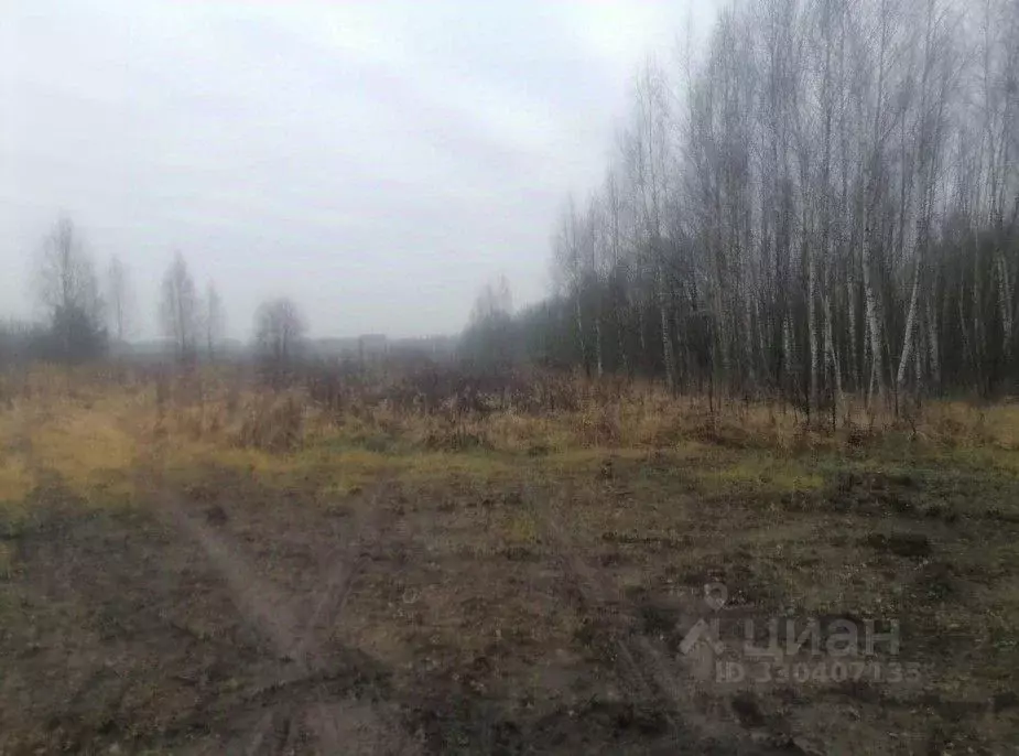 Участок в Московская область, Серпухов городской округ, д. Семеновское ... - Фото 2