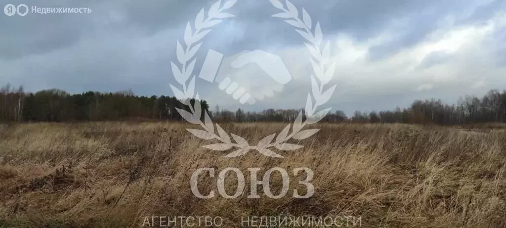 Участок в Калужская область, Мосальский муниципальный округ, посёлок ... - Фото 2