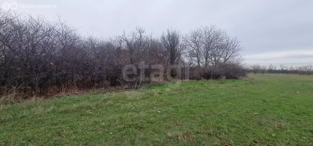 Участок в Пластуновская, Офицерская улица, 30 (25 м) - Фото 2