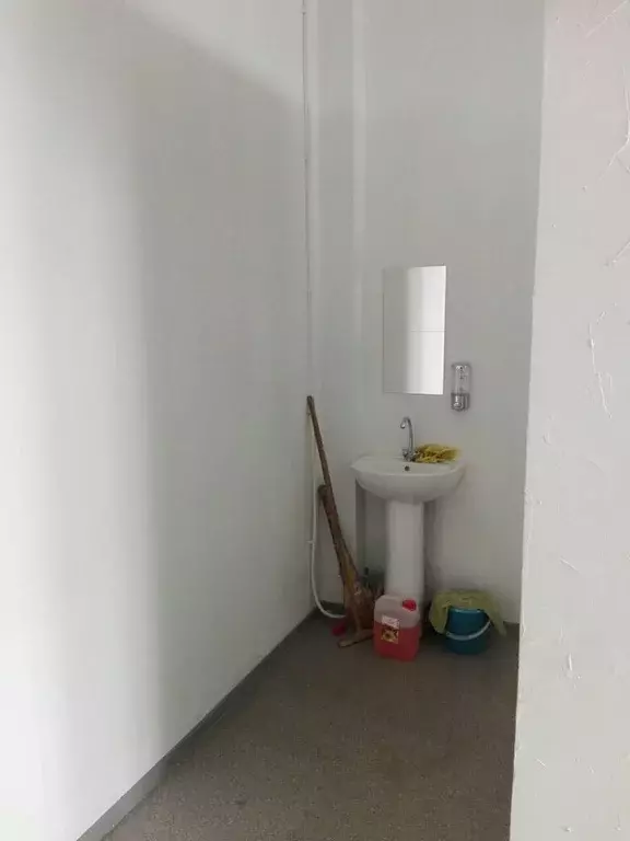 Офис в Новосибирская область, Новосибирск Красный просп., 220/5 (39 м) - Фото 2