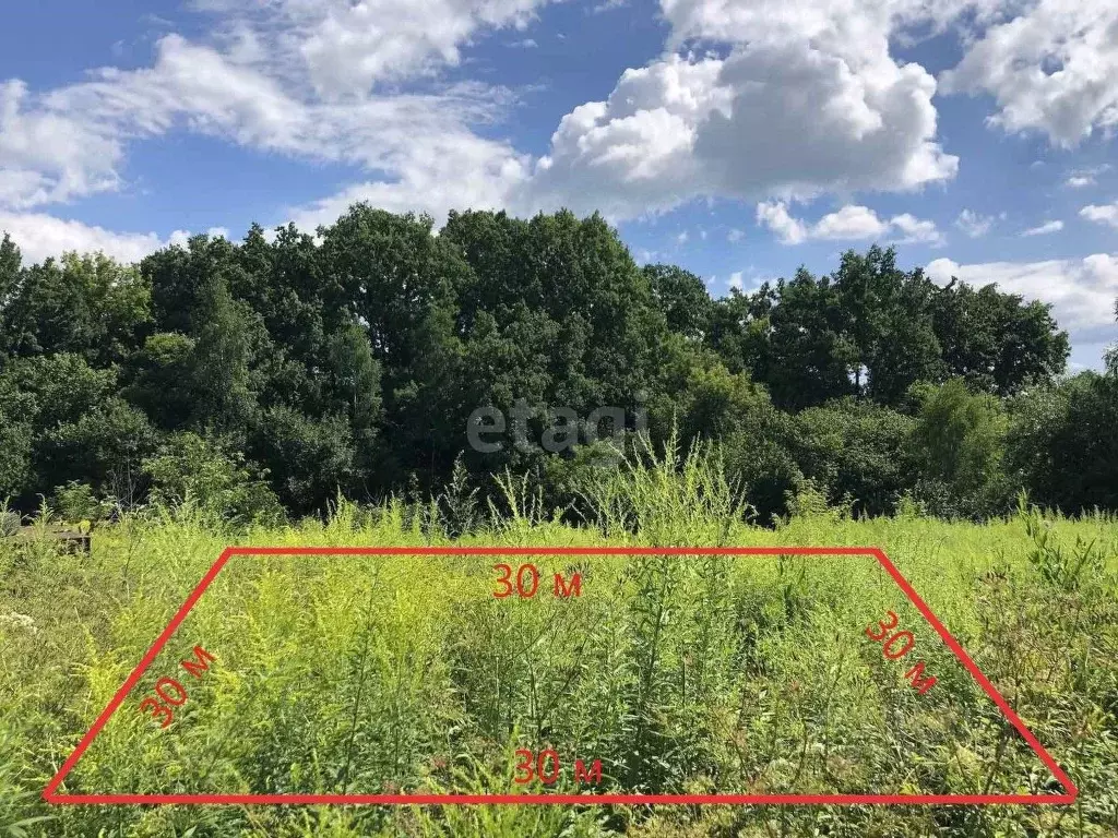 Участок в Брянская область, Брянский район, Снежское с/пос, пос. ... - Фото 1