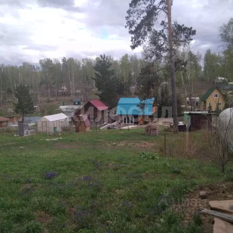 Участок в Новосибирская область, Новосибирский район, Барышевский ... - Фото 0