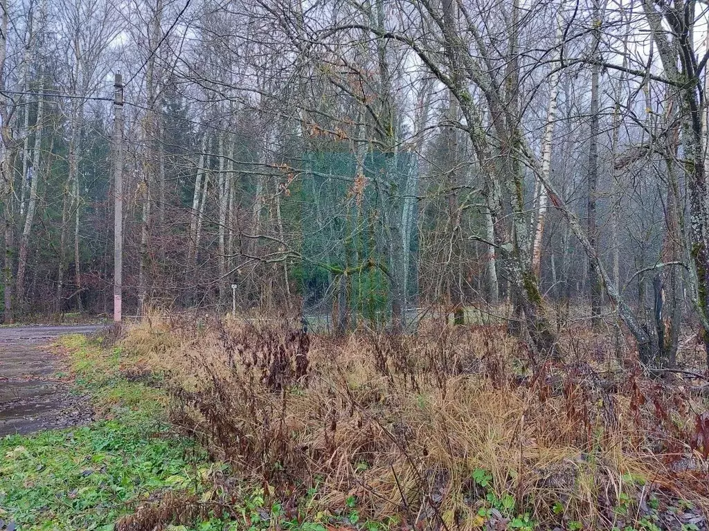 Участок в Москва № 377 кв-л,  (5.98 сот.) - Фото 1