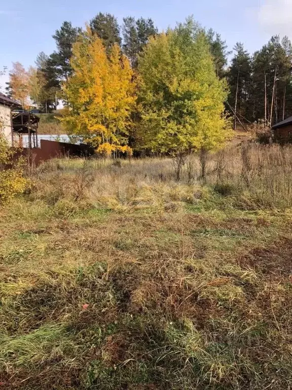 Участок в Воронежская область, Рамонский район, с. Ямное Набережная ... - Фото 2