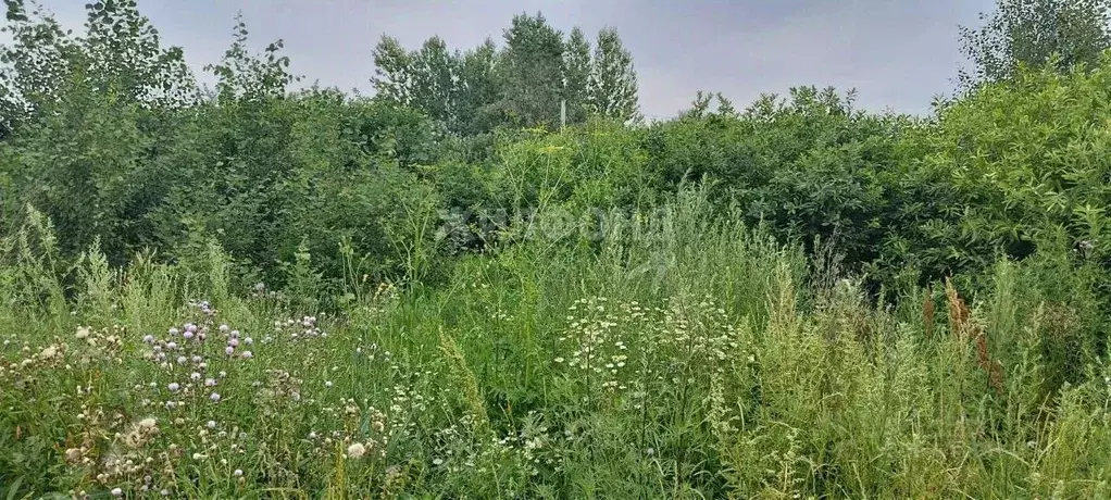 Участок в Новосибирская область, Новосибирск 3-й Памирский мкр,  (7.33 ... - Фото 1