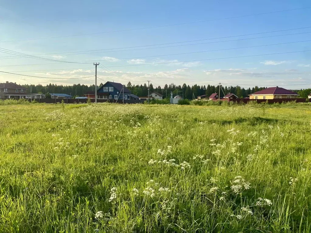 Участок в Владимирская область, Александровский район, Каринское ... - Фото 1