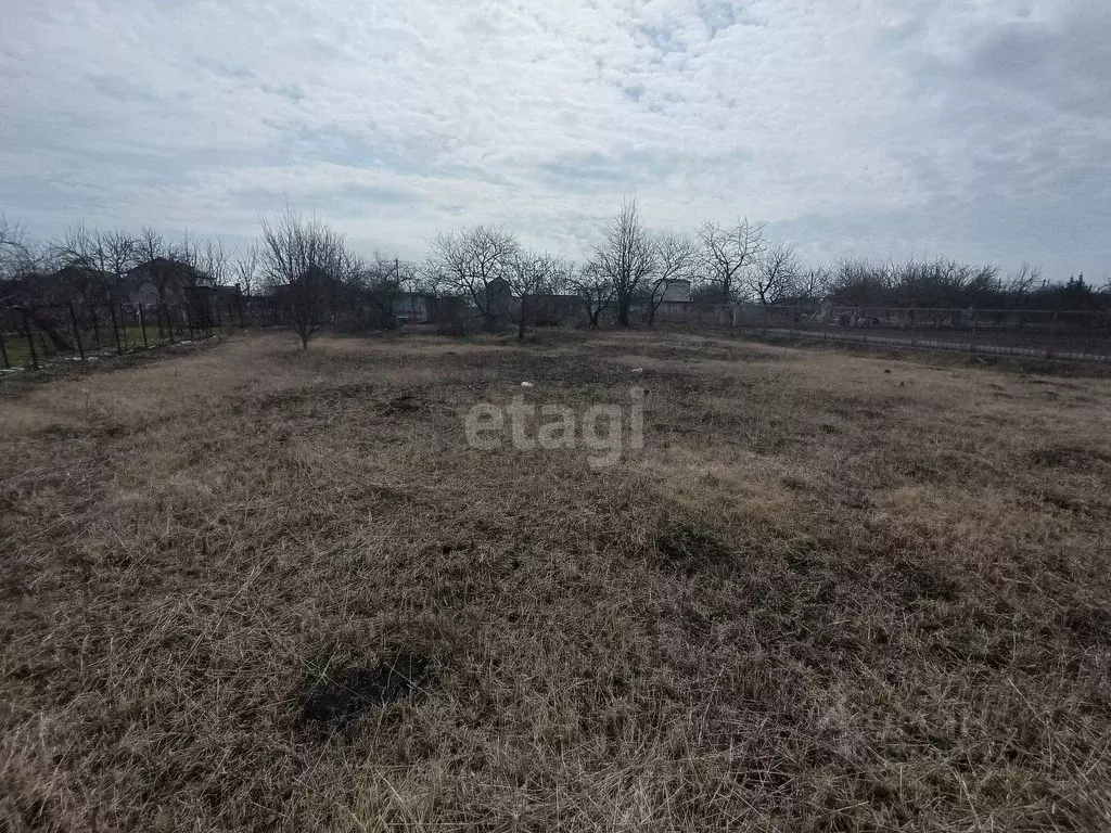Участок в Белгородская область, Яковлевский муниципальный округ, Нива ... - Фото 2