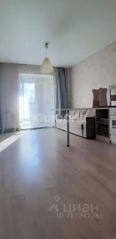 Студия Новосибирская область, Новосибирск Красный просп., 313 (26.0 м) - Фото 0