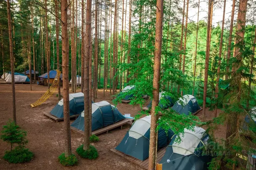 Комната Новгородская область, Валдайский район, Ивантеевское с/пос, д. ... - Фото 2