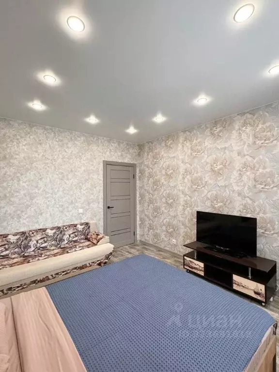 1-к кв. Амурская область, Благовещенский район, с. Чигири ул. ... - Фото 2