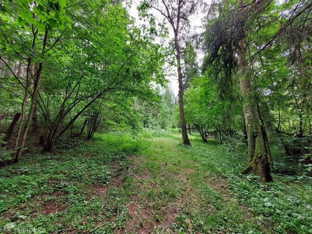 Участок в Московская область, Истра городской округ, Вокалист ГАБТ ДНТ ... - Фото 0