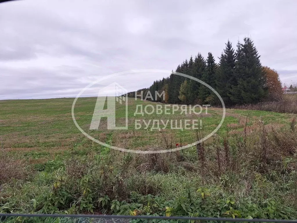 Участок в Пермский край, Кунгурский муниципальный округ, с. Неволино ... - Фото 1
