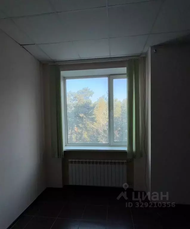 Офис в Новосибирская область, Бердск ул. Зеленая Роща, 7к34 (90 м) - Фото 2