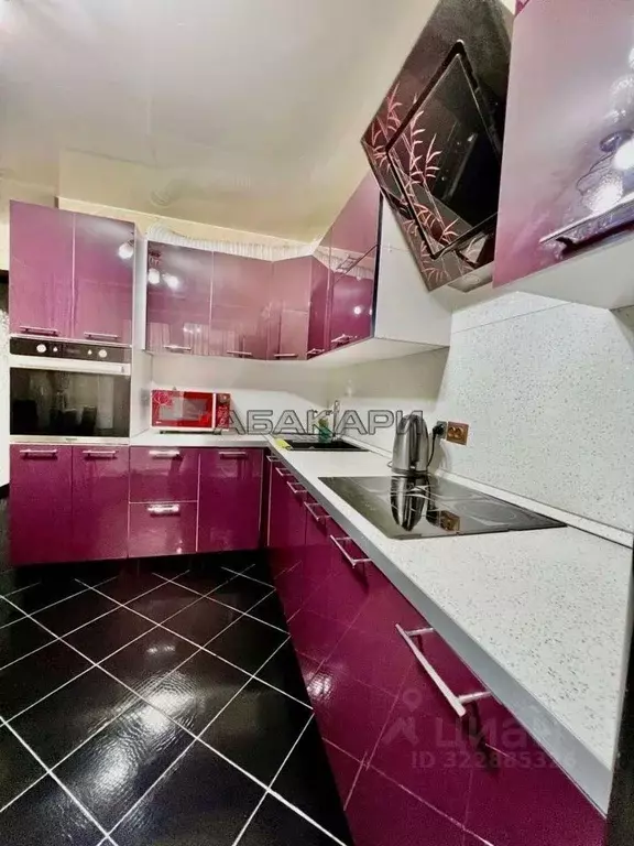 2-к кв. Красноярский край, Красноярск ул. Алексеева, 24к1 (64.0 м) - Фото 1