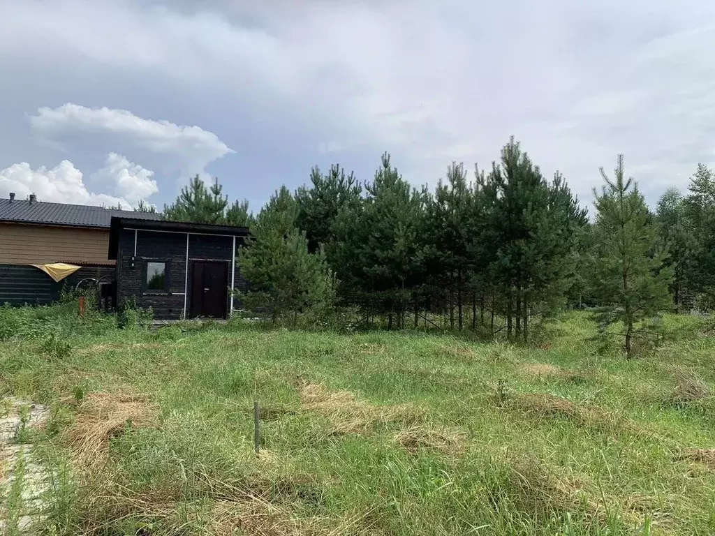 Участок в Новосибирская область, Новосибирский район, Кубовинский ... - Фото 1