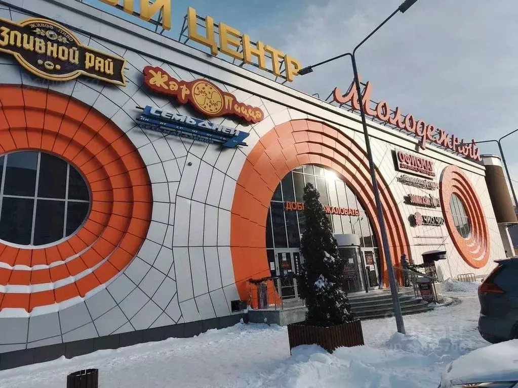 3-к кв. Воронежская область, Воронеж ул. Владимира Невского, 12 (91.4 ... - Фото 2