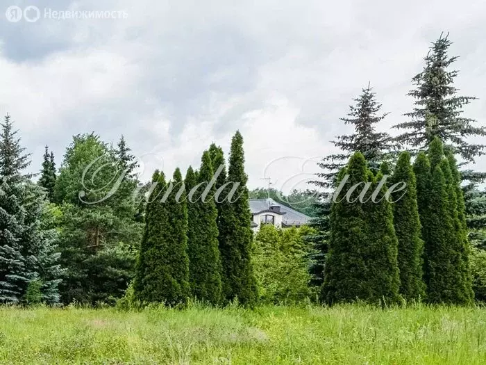 Участок в деревня Немчиново, Родниковая улица, 18 (17.7 м) - Фото 1