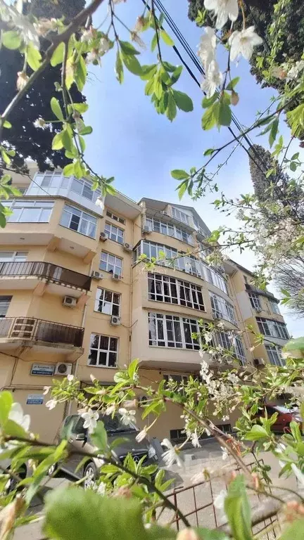 Свободной планировки кв. Краснодарский край, Сочи Новый Сочи мкр, ул. ... - Фото 2