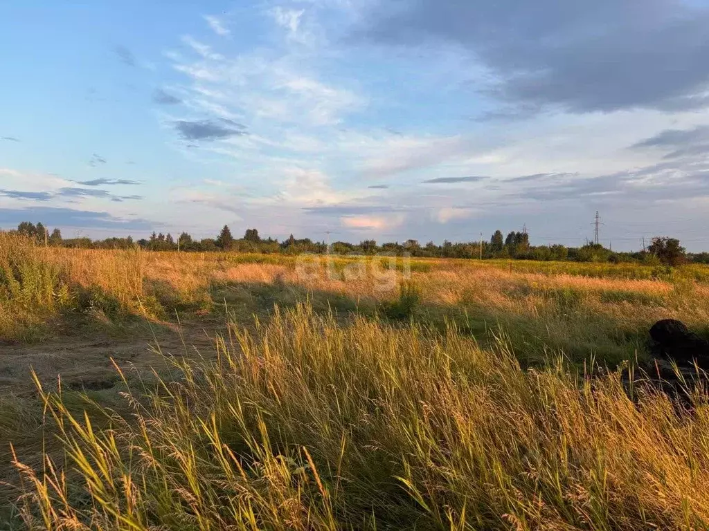Участок в Алтайский край, Бийск ул. Антона Скалона, 116 (14.6 сот.) - Фото 1