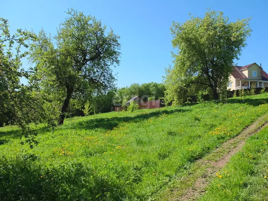 Участок в Смоленская область, Смоленск ул. Тушемлинская (8.0 сот.) - Фото 1