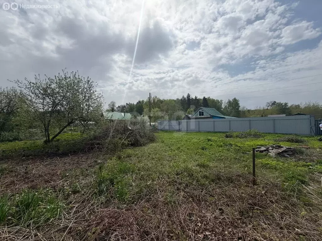 Участок в Йошкар-Ола, СНТ Мичуринец (5.96 м) - Фото 2