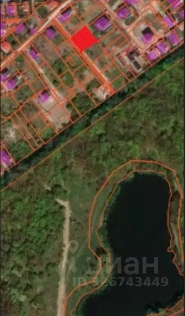 Участок в Калининградская область, Калининград Золотая Осень СНТ, ул. ... - Фото 1