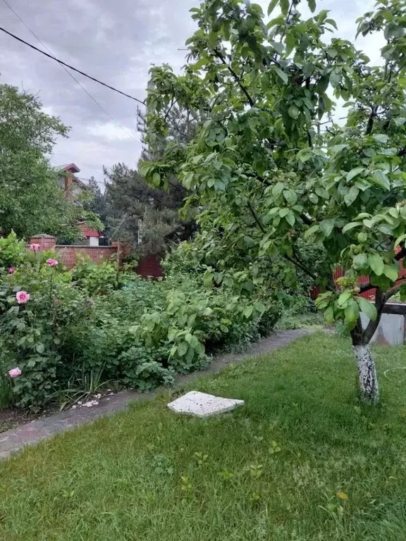 Дом в Краснодарский край, Новороссийск Цемдолина тер., ул. Ореховая, 8 ... - Фото 2