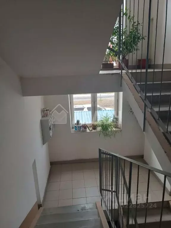 1-к кв. Омская область, Омск ул. Конева, 44 (34.8 м) - Фото 2