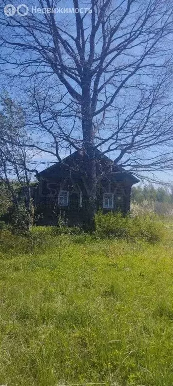 Дом в Костромская область, Судиславское сельское поселение, деревня ... - Фото 2