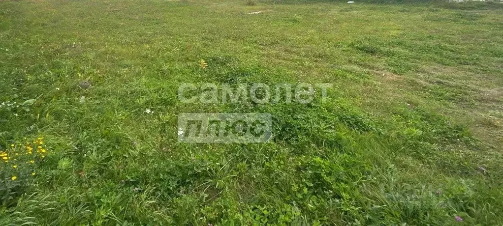 Участок в Курская область, Курский район, Моковский сельсовет, д. ... - Фото 1