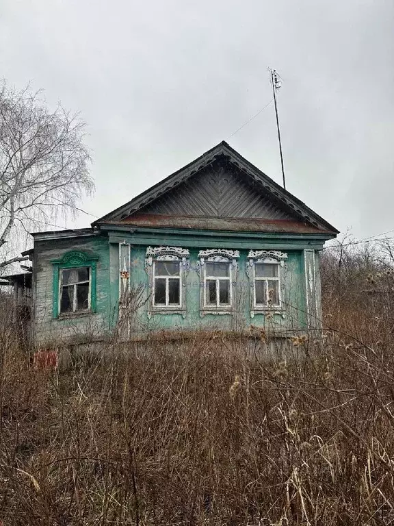 Дом в Нижегородская область, Шатковский муниципальный округ, с. ... - Фото 1