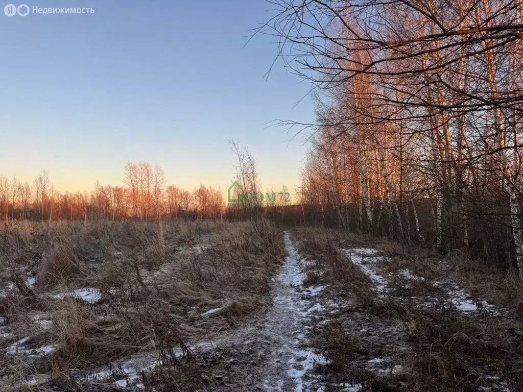 Участок в Тобольск, микрорайон Иртышский (8.7 м) - Фото 2