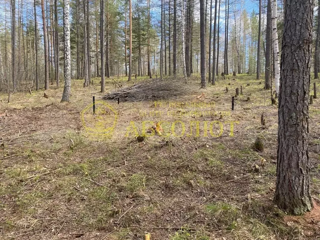 Участок 16 сот. (ИЖС) - Фото 0